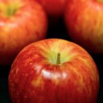 Thumbnail of related posts 039